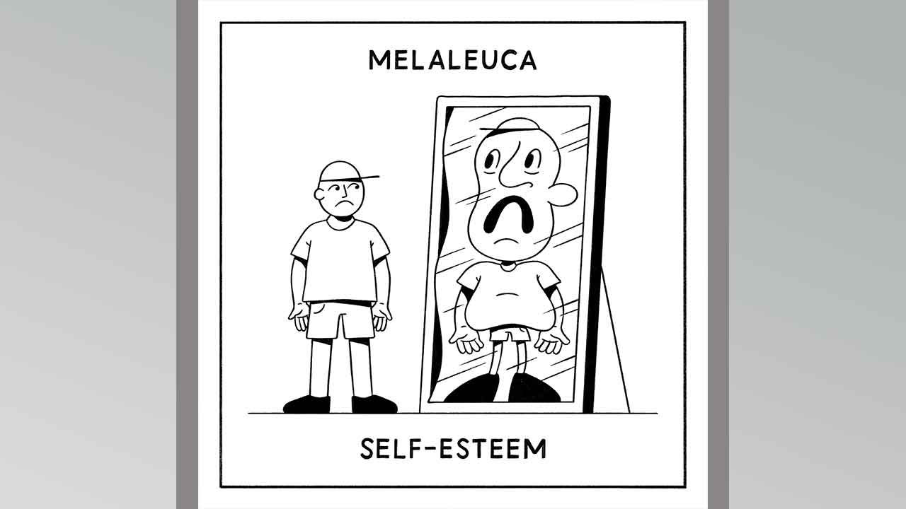 Melaleuca