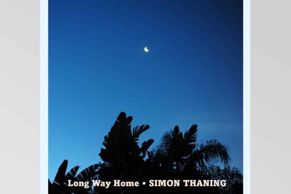 Simon Thaning - You Have To Do Something