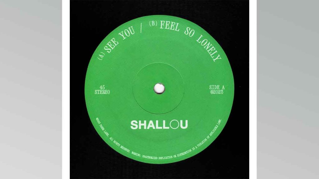 Shallou - Feel So Lonely