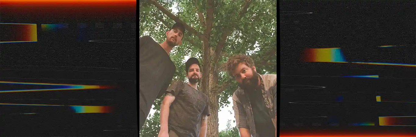 Fellow Hollow - Honey Fig [Single]