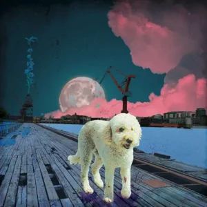 Lilia May - Forbidden Beauty [Single]