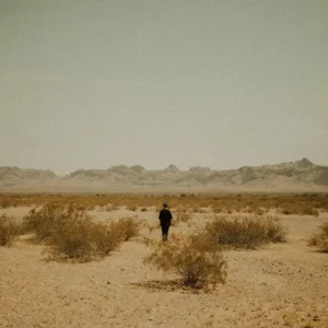 Nolea - Room [Single]