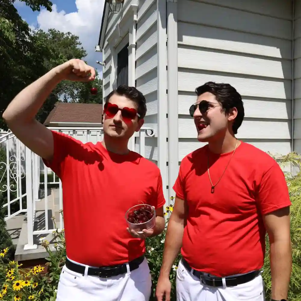 the dt's - Cherry [Single]