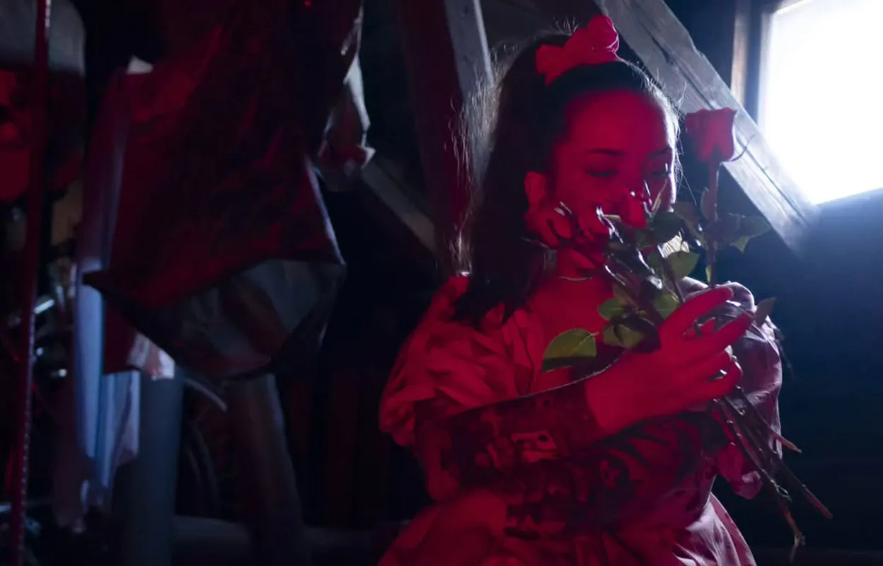 VEERA REBEKKA - I Didn't Know Love [Single]