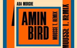 Ada Morghe - Amin Bird ( Mousse T. Remix) [Single]