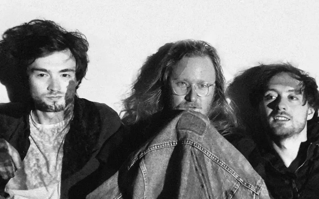 Stray Fossa - I Was There [Single]