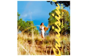 Farid Audee - Cruisin’ (You Dig It?) [Single]