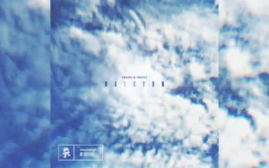 Terro and TMPST - Never Let You Go [Single]