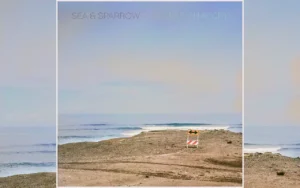 Sea Glass and Lesser Sparrow - Watch Me Cry [Single]