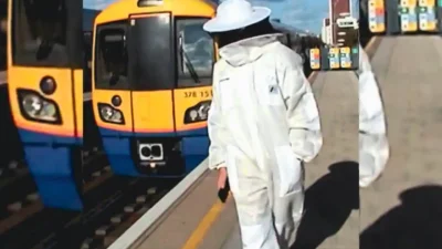 high jump - Hot Honey [Single]