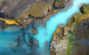 Phree Direxion - Holy Trinity [Single]