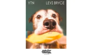 Levi Bryce - YTN