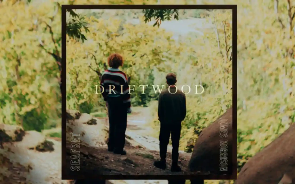 Seafret and James Morrison - Driftwood [Single]