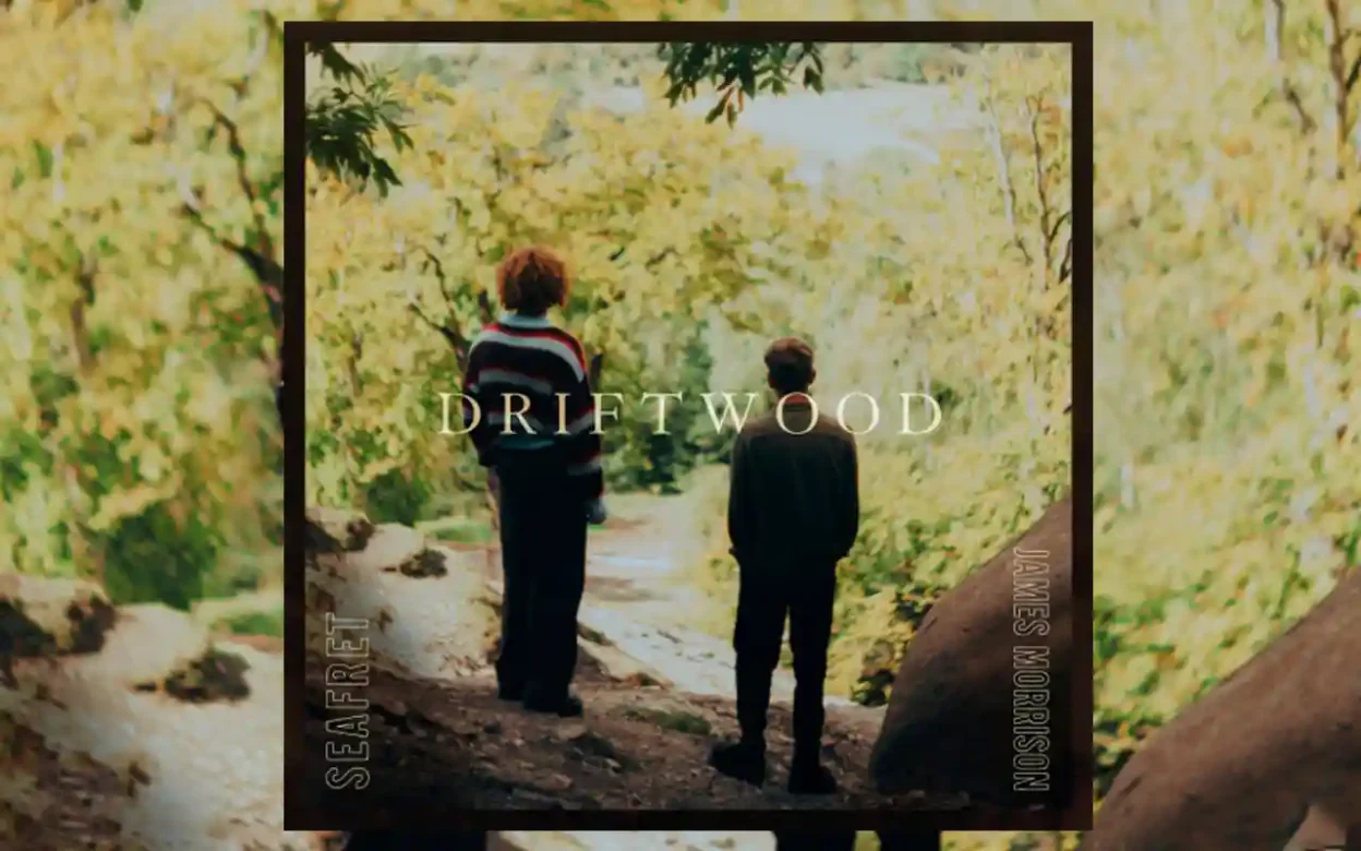 Seafret and James Morrison - Driftwood [Single]