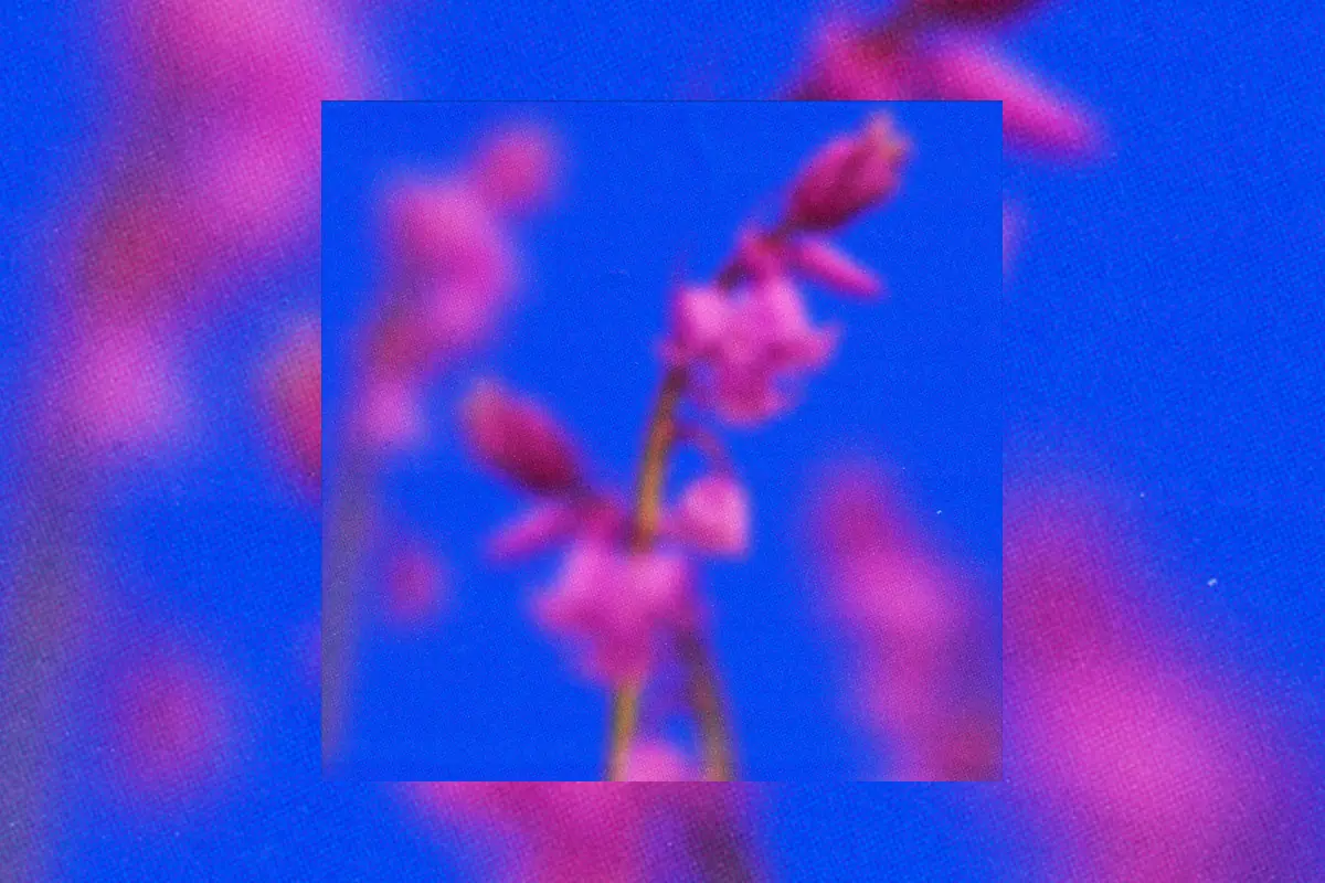 Meanetik y Sideluv - Thoughts Of Summer